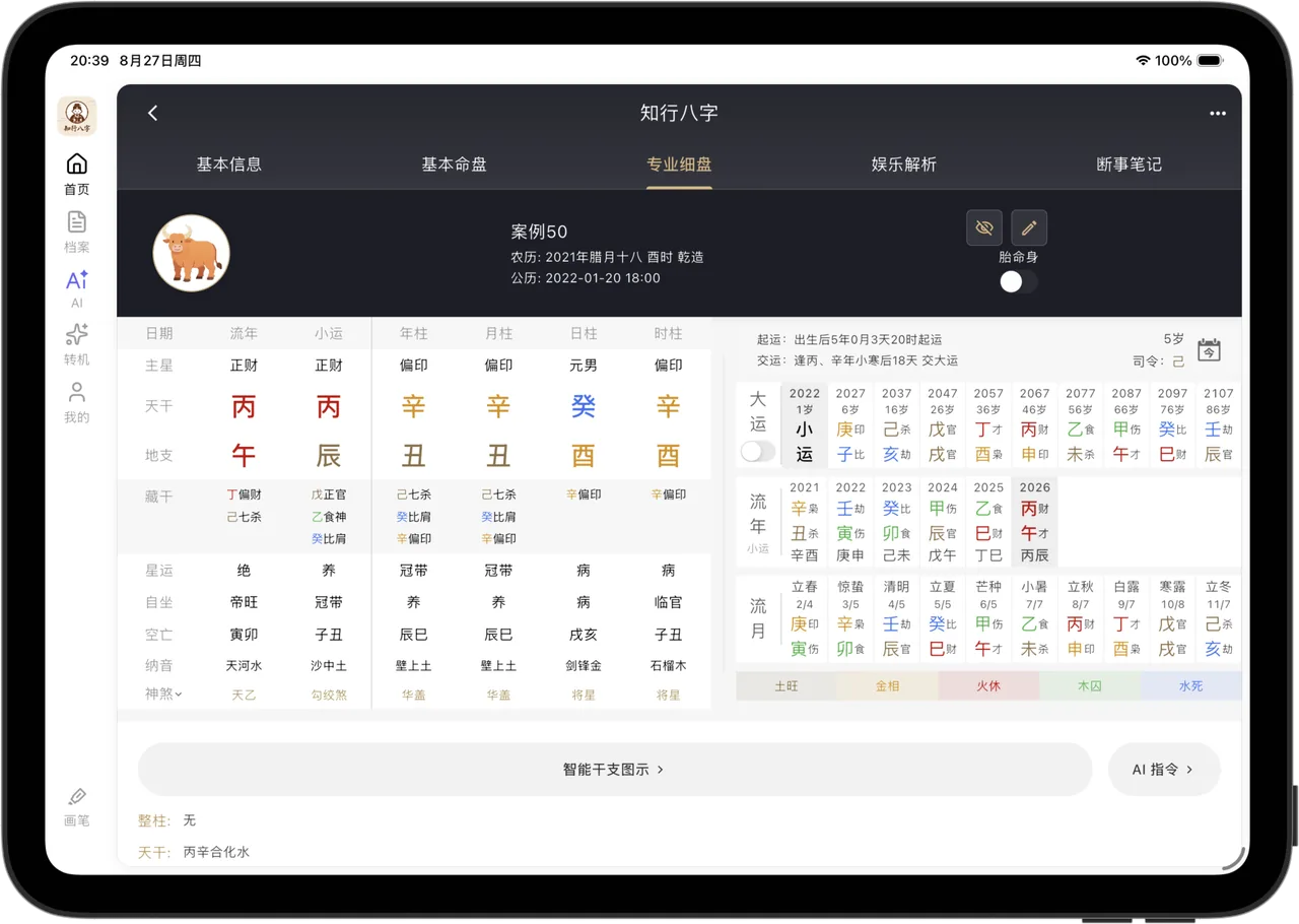 知行八字 iPad 横屏界面：左侧栏导航 + 左右分栏的八字专业细盘